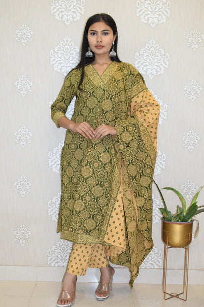 Green V-neck Sanganeri Print cotton straight Suit