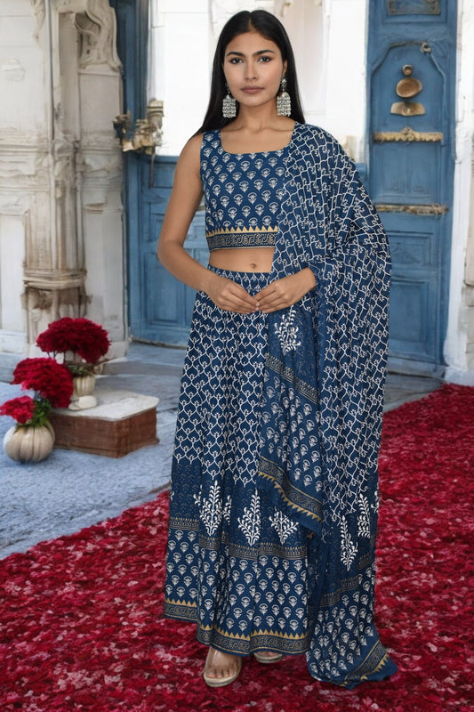 Neel Tara Sleeveless Lehenga Set