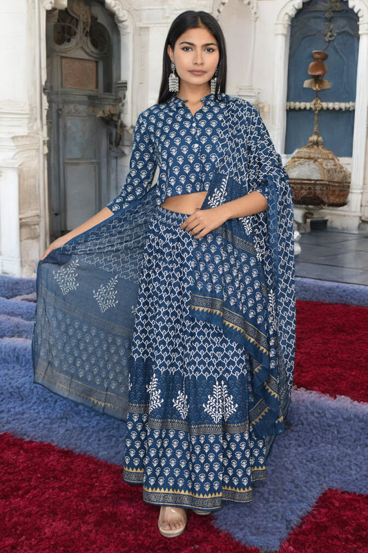 Neel Tara Lehenga Set
